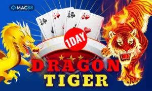 dragontigeroneday